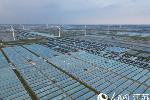 两次被环保督察点名，江苏如东一个富民产业的蜕变