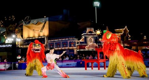 第十五届全国舞龙舞狮锦标赛（舞狮项目）在南京举行