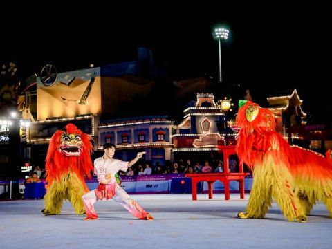 第十五届全国舞龙舞狮锦标赛（舞狮项目）在南京举行